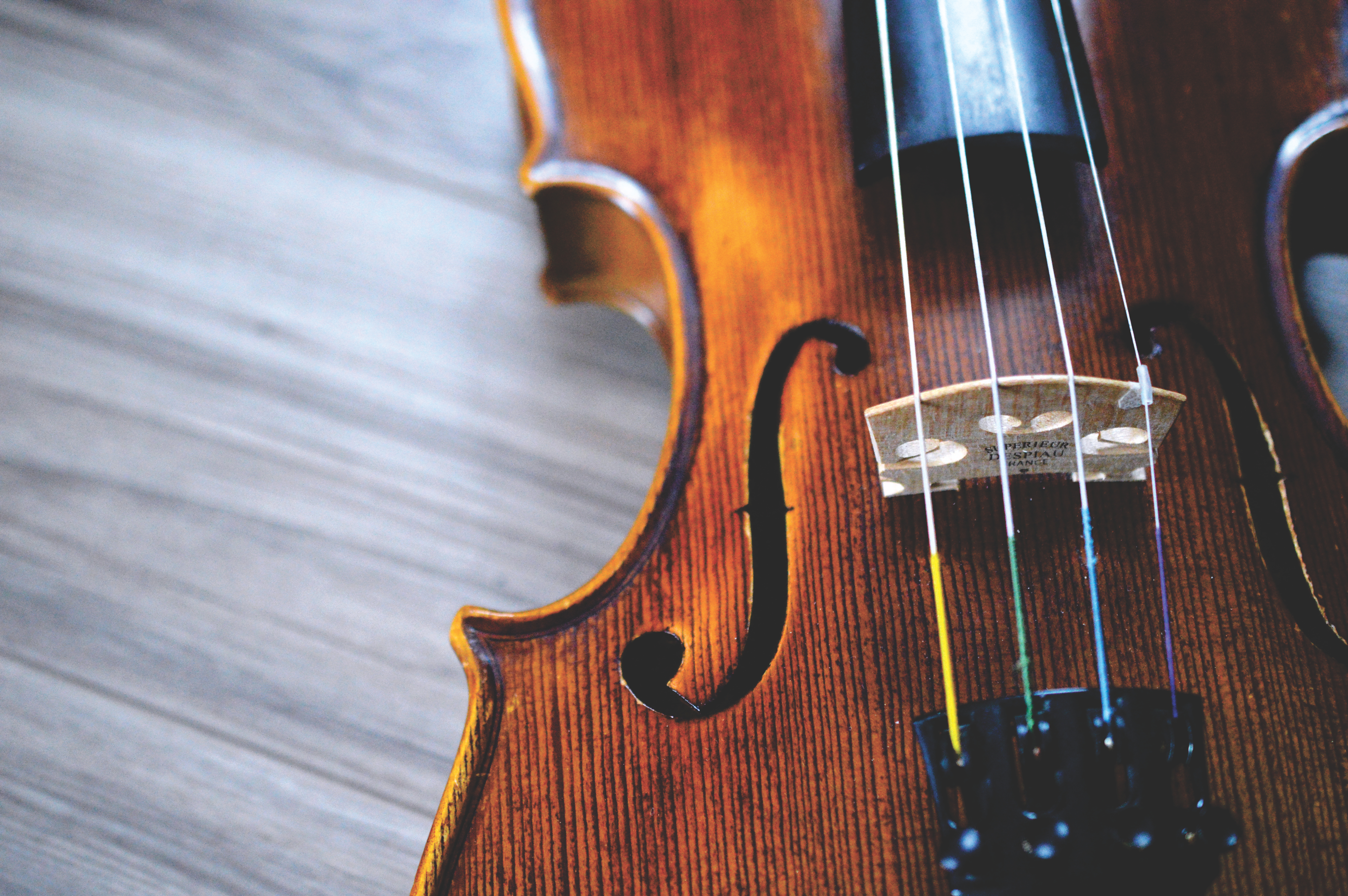 cordes de violon di arezzo cheville