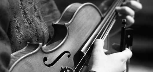 cordes de violon di arezzo