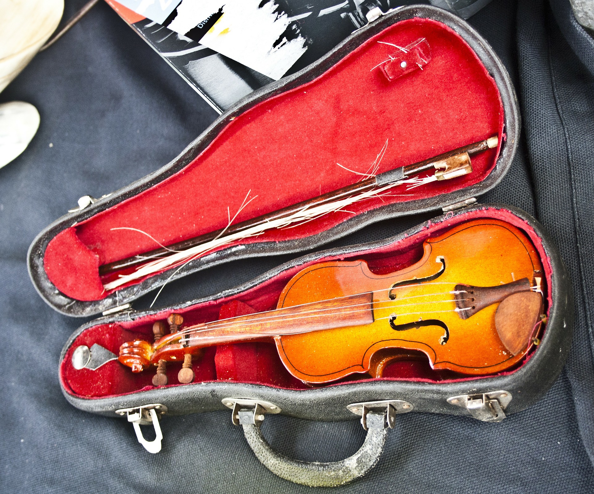 Etui de violon De bonnes raisons